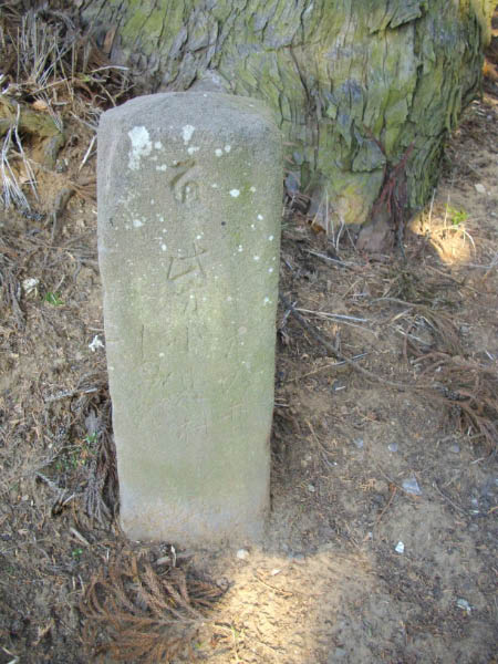 image0008
