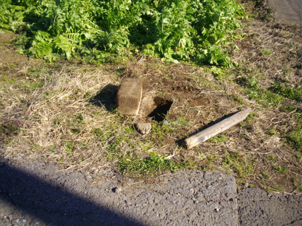 image0031