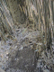 image0003
