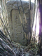 image0006