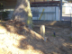 image0007