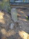 image0011