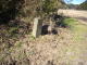 image0012