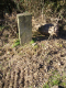 image0013