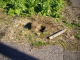 image0031