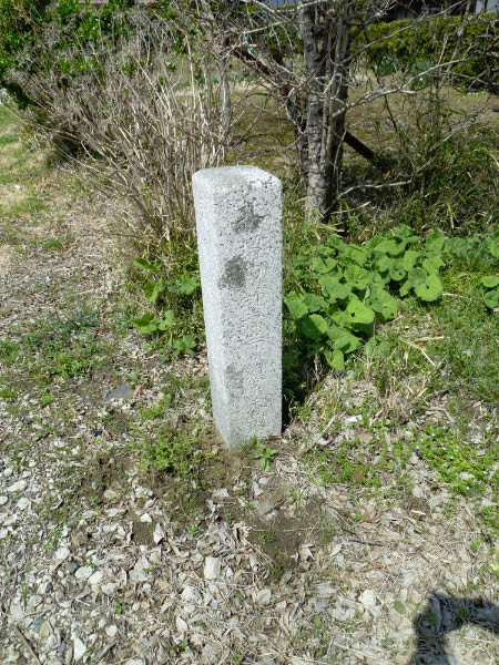 image0009