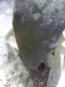 image0003