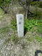 image0009