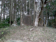 image0017