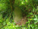 image0001