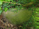 image0002