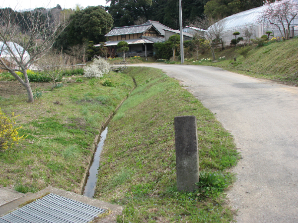 image0006