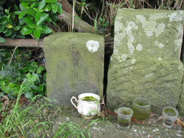 image0015