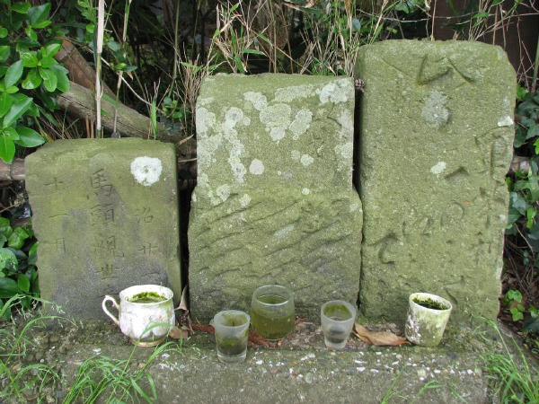 image0016