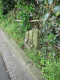 image0013