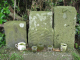 image0016