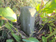 image0000