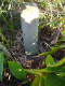 image0002