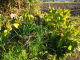 image0003