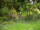 image0006