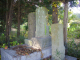 image0009