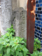 image0033