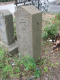 image0009