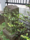 image0003
