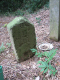 image0009