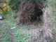 image0000