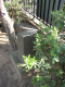 image0011
