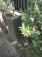 image0013