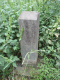 image0033