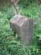 image0036