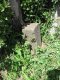 image0019