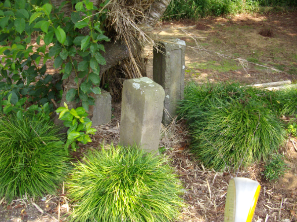 image0004