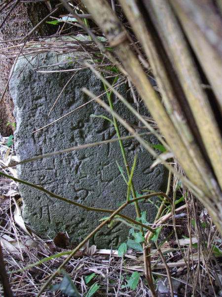 image0006