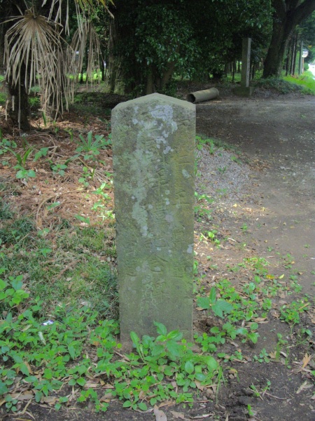 image0008