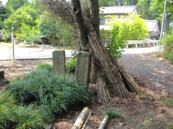image0010