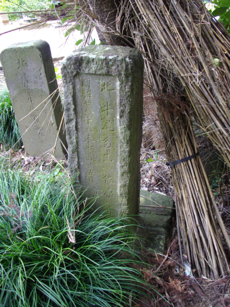image0013