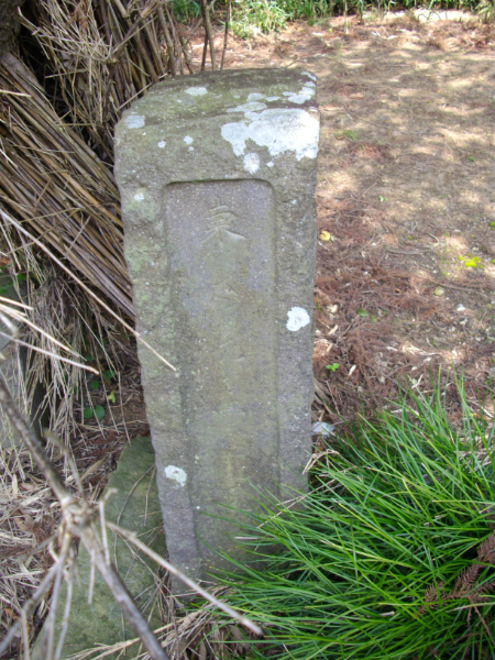 image0015