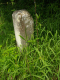 image0002