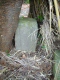 image0005