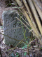 image0006