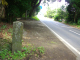 image0007