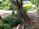 image0010