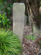 image0011