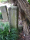image0013