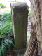 image0014