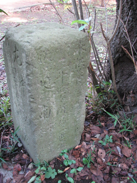 image0034